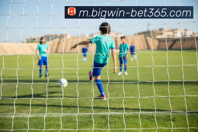 bet365平台生态图